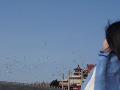 -蓬莱仙岛