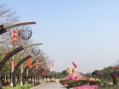 -映月湖公园