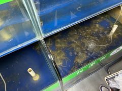 -阳澄湖大闸蟹·琼灵阁牌品牌连锁(吴中总店)