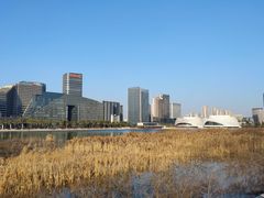 -金沙湖公园