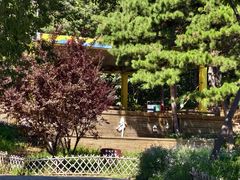 -北京西山国家森林公园