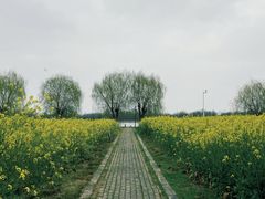 -三山岛