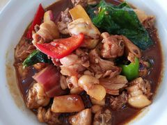 -墨脱石锅椰子鸡•香草鸭•东山羊(大东海店)