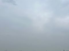 -中国天府农业博览园