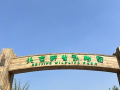 -北京野生动物园