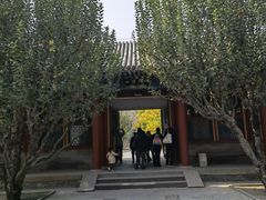 -龙湖星悦荟(颐和店)
