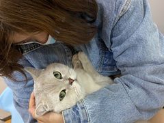 -pd派德宠物中心医院24H急重症·眼科中心·血液透析中心(嵩山北路店)