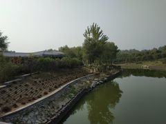 -大兴滨河森林公园