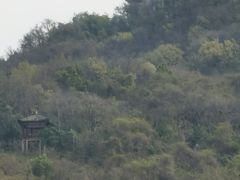 -西湖风景区-江洋畈生态公园