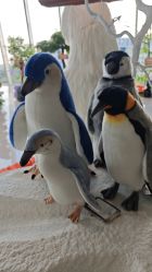 -IMON·HANSA潮玩玩偶毛绒玩具(通州万象汇店)