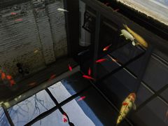 -北京群众马术培训基地