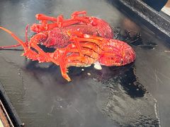 -Kaikoura Seafood BBQ Kiosk