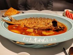 -阿五黄河大鲤鱼(英协路店)