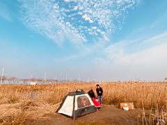 -南汇嘴观海公园