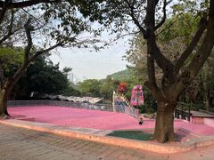 -青青世界