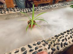 -丽江庭院·云南野生菌·海鲜火锅(鼓楼四合院店)