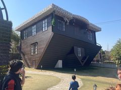 -金山农民画村-枫泾波兰倒置屋