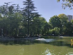 -西安市长乐公园