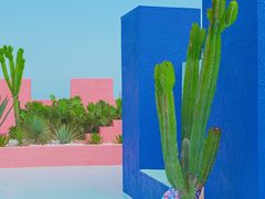 -漳州滨海火山岛自然生态风景区