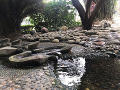 -成都市活水公园