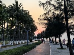 -万绿园
