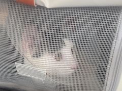 -伟伟宠物医院·瑞派猫友好医院·猫科(光谷店)