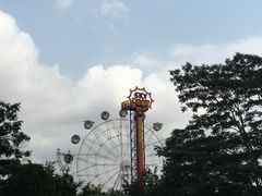 -广东茂名森林公园