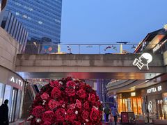-花样西贡·法式越南菜餐厅(桂林万象城店)