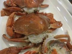 -欢乐海岸美食联盟