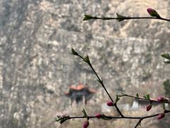 -圣莲山风景区