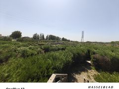 -亲兄弟真人CS团建拓展基地