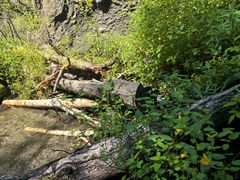 -峡谷浮石林景区