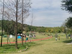 -牛岗山公园