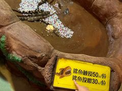 -大连圣亚海洋世界