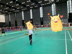 -深圳大运中心世界冠军羽毛球馆