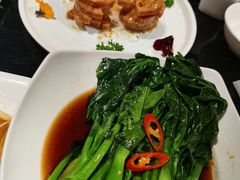 -高第街56号餐厅(泰安万达店)
