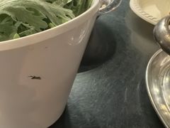 -川香煲(茅台路店)