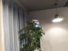 -梵猫·新养生(湛江鼎盛店)