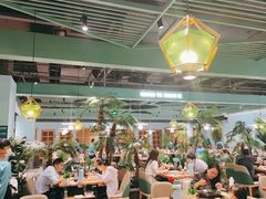 -春润大地海南椰子鸡(沙井京基百纳广场店)