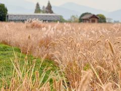 -良渚古城遗址公园