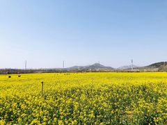 -西海岸生态观光园