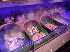 -阪尚皇·原切牛排·烤肉火锅自助(北京路店)