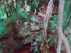 -上海大自然野生昆虫馆(东方明珠·爬宠昆虫探索中心)