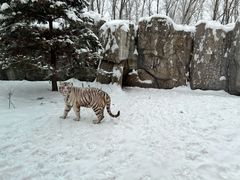 -北京野生动物园