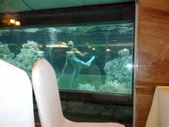 -肇庆奥威斯酒店