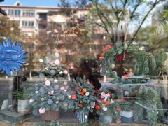 -花到家(富贵鸟花艺行)