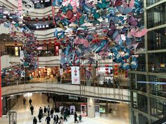 -高新活力汇Vitality