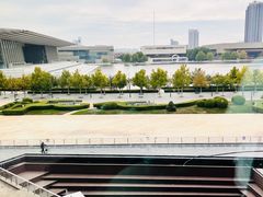 -羲和雅苑•北京烤鸭(乐园道万象城店)