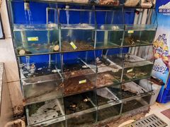 -天天渔港海鲜酒家(石浦玉泉路店)