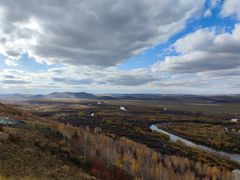 -乌兰布统景区-白桦林